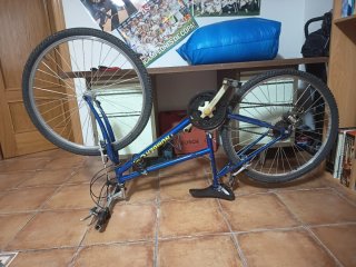 Bicicleta de adulto azul