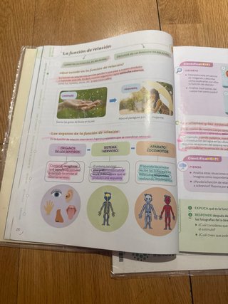 Ciencias de la Naturaleza 5 Primaria : Comunida...