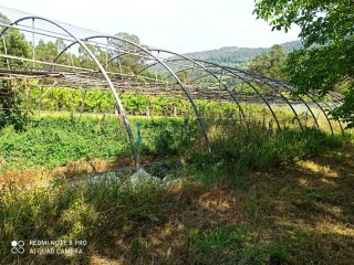 Invernadero 28m x 10m Tubo Galvanizado