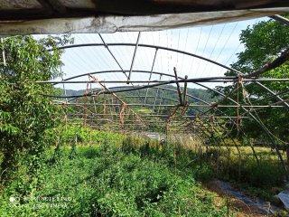 Invernadero 28m x 10m Tubo Galvanizado