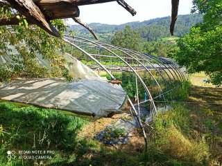 Invernadero 28m x 10m Tubo Galvanizado