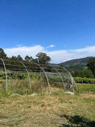 Invernadero 28m x 10m Tubo Galvanizado