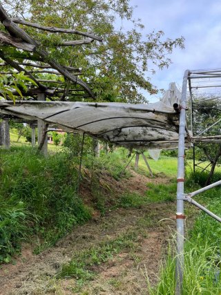 Invernadero 28m x 10m Tubo Galvanizado