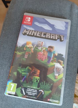 Minecraft Nintendo Switch