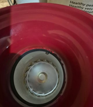 Máquina de Palomitas Cecotec FunTaste