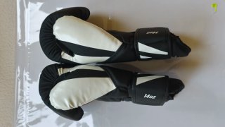 Guantes Venum MMA 14 oz