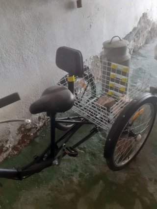 Triciclo adulto con cesta