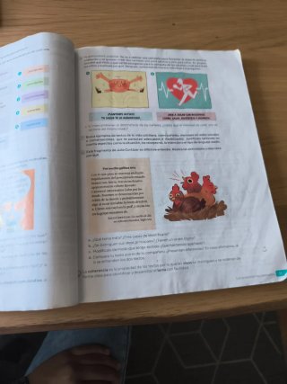 Lengua castellana y literatura