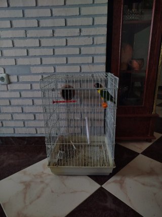 Jaula para pájaros completa todo incluido