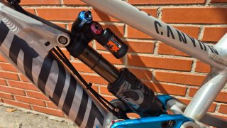 Canyon Torque DHX Flashzone Mini mullet