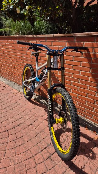 Canyon Torque DHX Flashzone Mini mullet