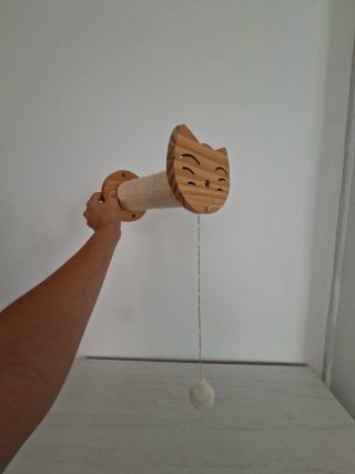 Circuito de pared para gatos