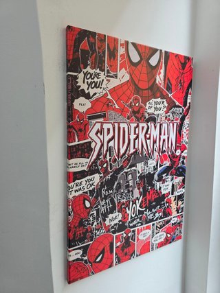 Quadro Spider-Man 40x60 Cm
