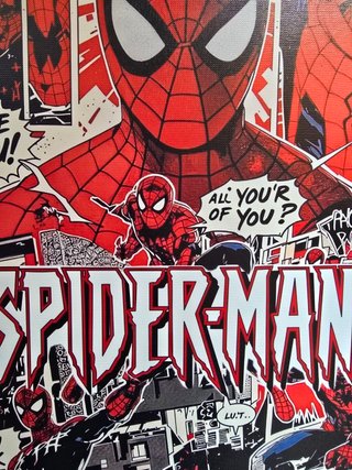 Quadro Spider-Man 40x60 Cm