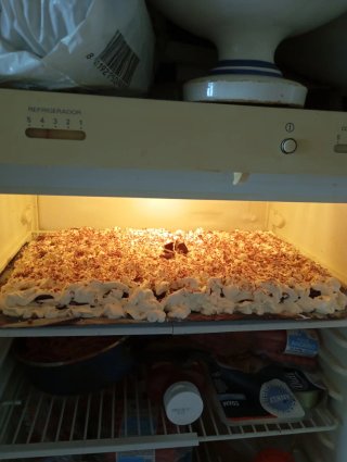 Tarta galleta ciocolate y nata
