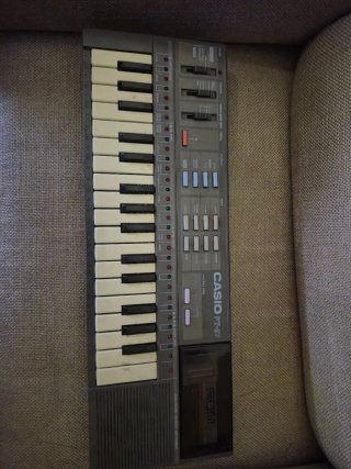 Teclado Casio Casiotone PT-87