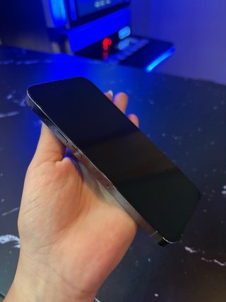 iPhone 13 Pro Gris