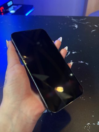 iPhone 13 Pro Gris