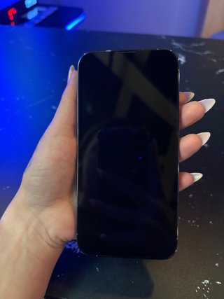 iPhone 13 Pro Gris