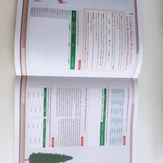 Lengua Castellana y Literatura, 2o. ESO.