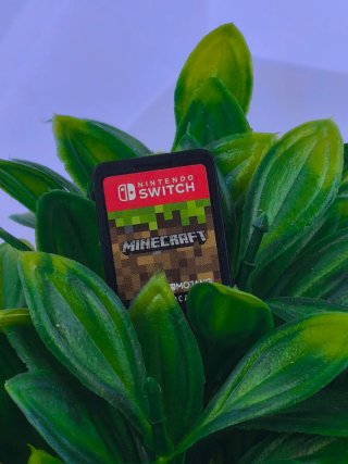 Minecraft Nintendo Switch Juego