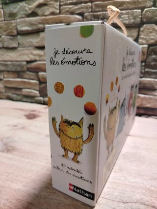 Nathan Je découvre les émotions Juego Educativo