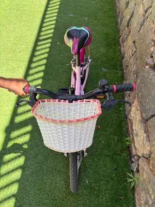 Bicicleta B-Pro niña rosa