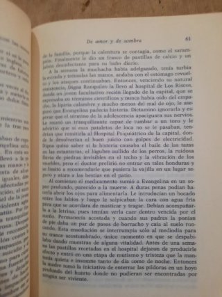 De amor y de sombra