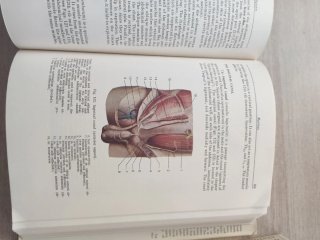 Antiguo libro de anatomía  ruso
