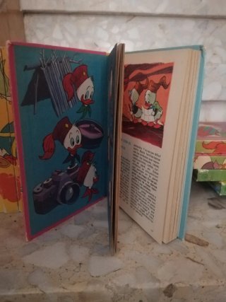 Biblioteca jóvenes castores  de walt  disney