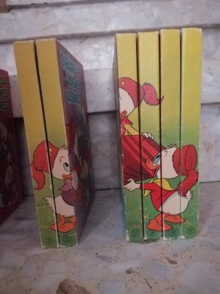 Biblioteca jóvenes castores  de walt  disney