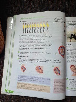 Ciencias de la Naturaleza, 6 Primaria, Castilla...