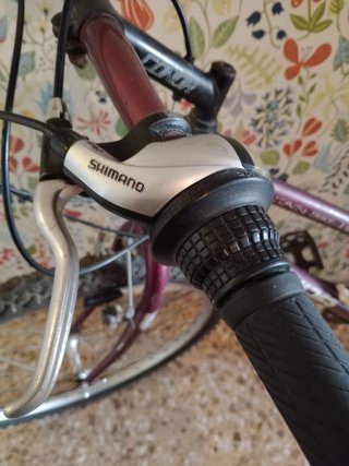 Bicicleta Conor 5.50 Vintage MTB Acero Rígida