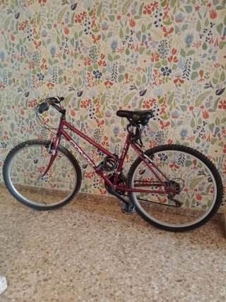 Bicicleta Conor 5.50 Vintage MTB Acero Rígida
