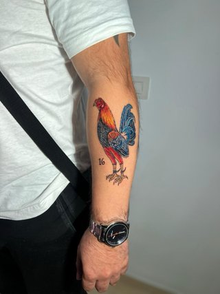 Tatuador Profesional