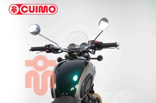 TRIUMPH BONNEVILLE T100