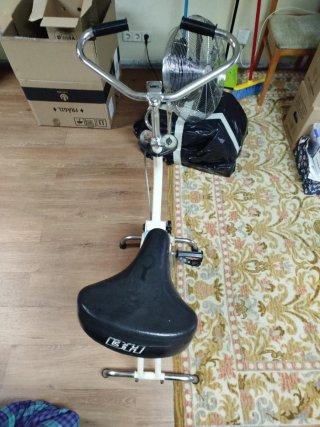 Bicicleta Estática BH Vintage