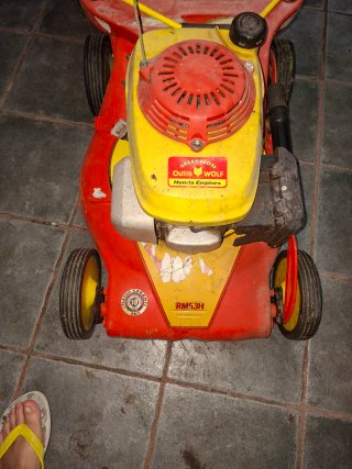 Cortacésped Outils Wolf RM53H