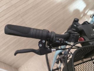 Bicicleta Riverside Mujer