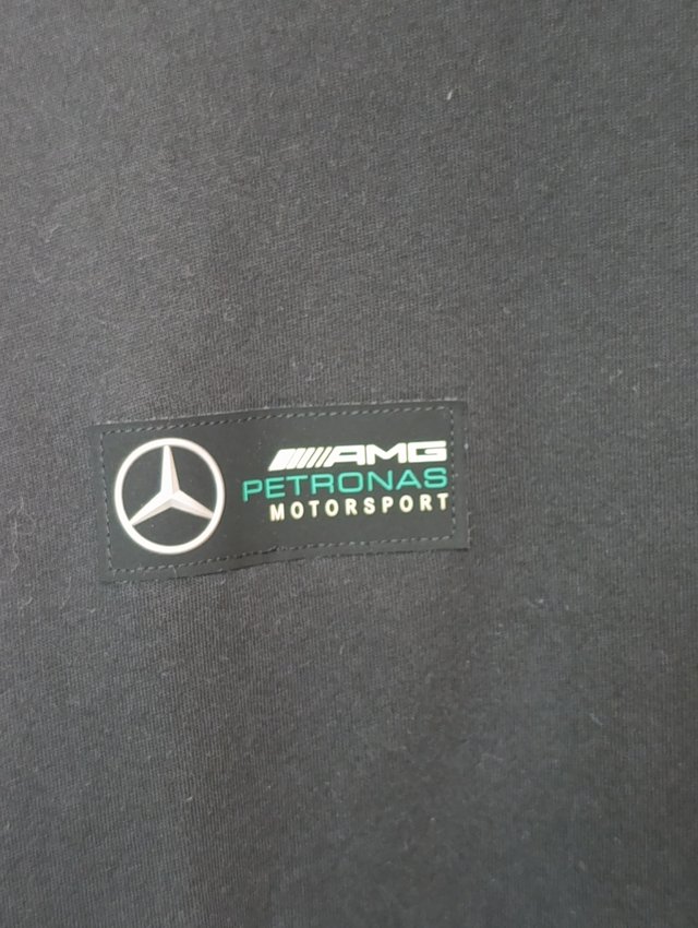 Camiseta Puma AMG Mercedes Petronas F1 R819