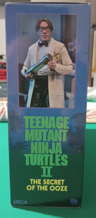 Jordon Perry TMNT Neca/Reel Toys/Nickelodeon