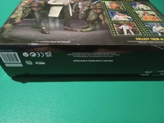 Jordon Perry TMNT Neca/Reel Toys/Nickelodeon