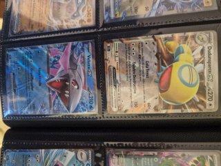 Lote de cartas Pokémon EX