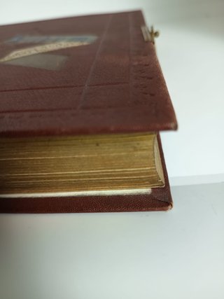 Álbum de Fotos Antiguo Victoriano 1900