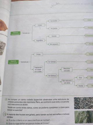 Bioloxía e Xeoloxía. 1 Secundaria. Revoa