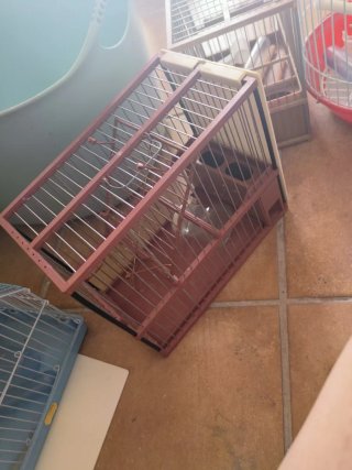 Jaula para pájaros azul y blanca