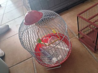 Jaula para pájaros azul y blanca