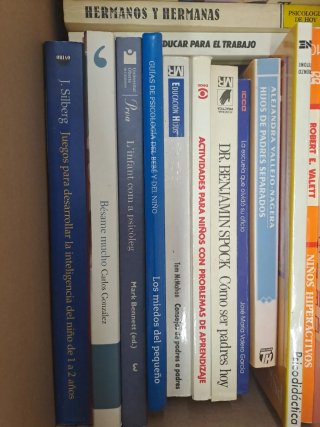 Lote 24 libros educación infantil psicología
