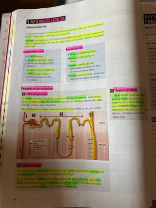 Lote libros IES Carlos Casares Vigo 3 ESO