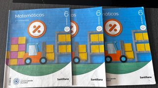 Lote libros texto sexto primaria